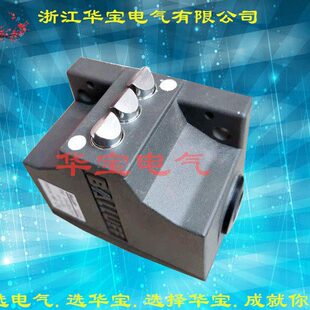 100 X481 L12 D12 限位开BNS BNS 113