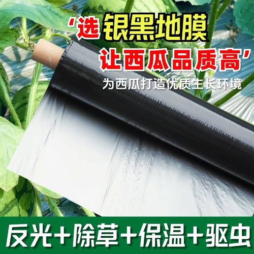 西瓜银黑双色反光除草农r用地膜蔬菜果园保温加厚保湿塑料薄膜抗