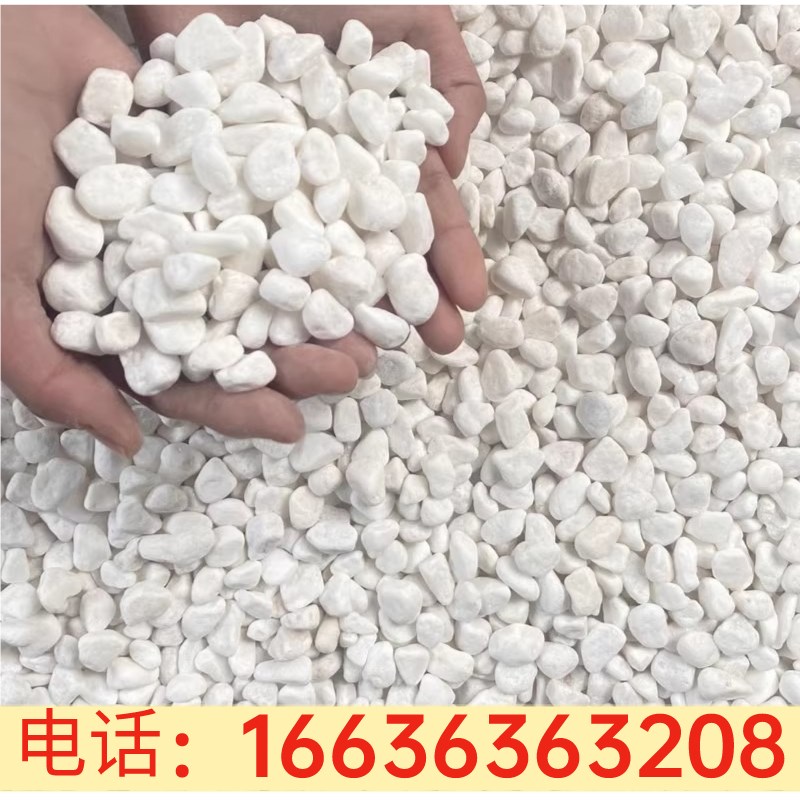 吉林天然白石子白玉石鹅卵石雨花石多肉植物铺面盆栽装饰白色石头