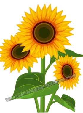 系向日葵贴画卫生间马桶贴画厨房冰箱贴画客厅房间门窗ins风P342