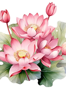 创意荷花贴纸贴室内墙面房间门墙上汽车电动车身美观防水贴P119