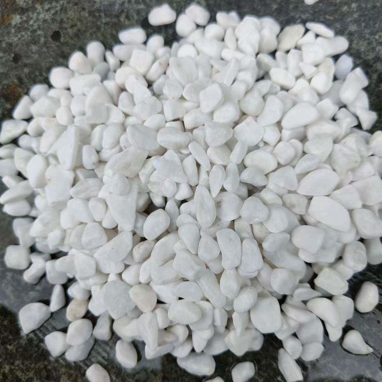天然石子栽鹅造卵石白石头汉白白玉彩石园艺盆石头多肉铺面庭203