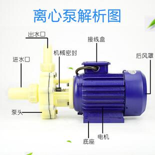 FS102/103单相塑料酸耐腐腐蚀防卧式耐泵碱化工离心泵EYL自吸220V