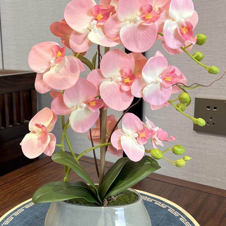 花蝴蝶兰套装摆手感假摆花盆栽厅餐桌放绢客花F966985J中式陶瓷花