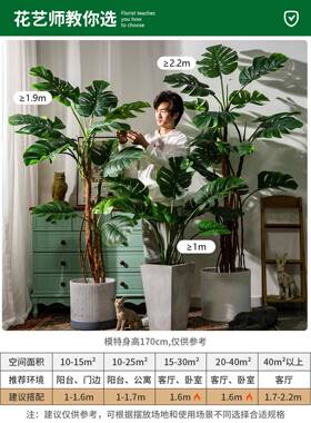 龟摆客绿背竹仿真nXubS9Hu植物植假树装饰大型仿生盆栽室内厅落地