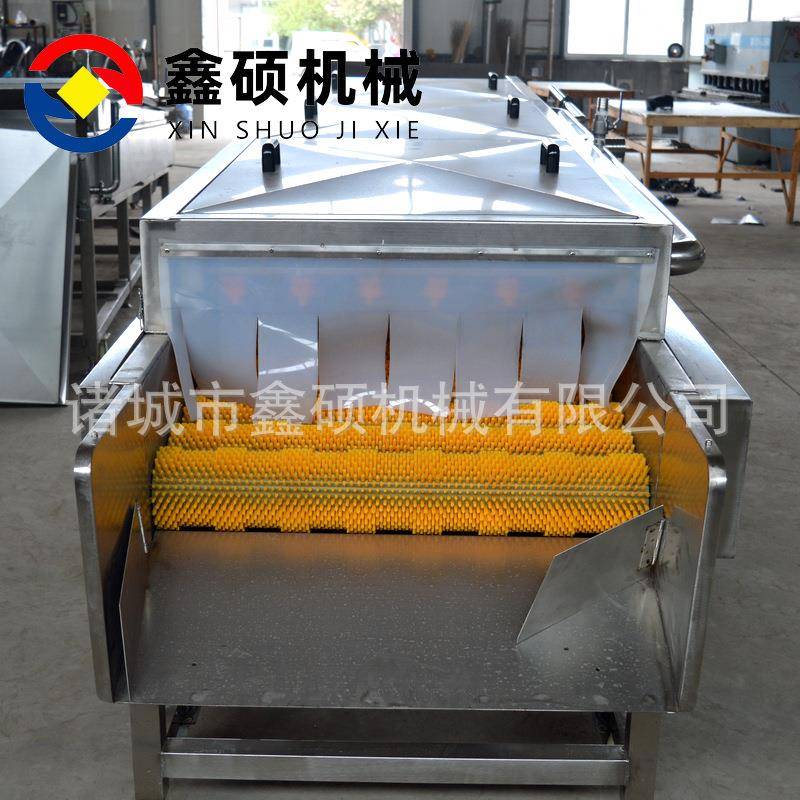 海蛎子清洗机4000型大姜山药清洗去皮机海螺扇贝平行毛辊清洗机