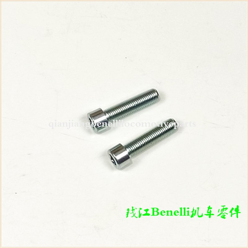 蓝宝龙BJ300GS/302/小黄龙BwJ250-15/15A前后制动缸 刹车泵 螺丝