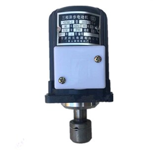 南召县三友电机YDT250-2 250W 微型三相异步液压制动器推动器电机