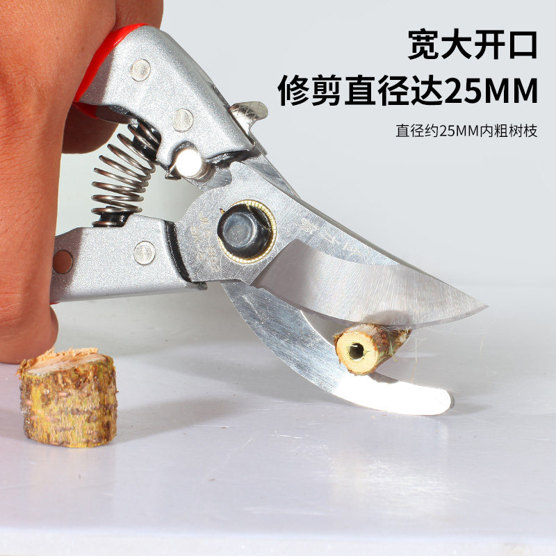 金力狮园艺剪枝剪刀果树树枝园林花枝花艺剪刀修枝剪采摘水果神器