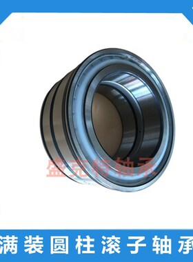 双列密封满装圆柱滚子轴承SL182110 183010 185010 183012 185012