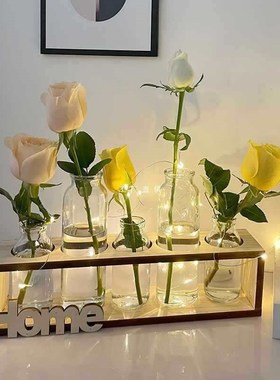 水培小花瓶创意玻璃绿萝透明小清新客厅桌面装饰摆件X水养植物插