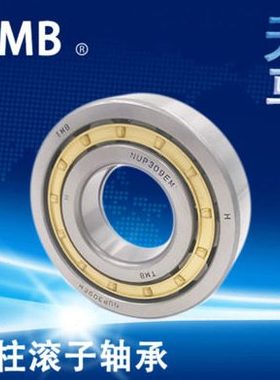 天马TMB轴承 N NU NJ RN NUP NF 240 244 248 EM C3 4 P5 6