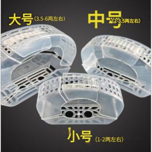 大闸蟹速装器螃蟹速装器免捆扎蟹绳青蟹梭子蟹塑料包装盒小号大号