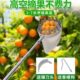 摘果神器枇杷杨梅芒果李子桃子杏高空摘果器采果摘果子神器伸缩杆
