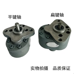 B10 B16 佳宇齿轮油泵CB B25 B20 B32锯床液压齿轮泵F B2.5