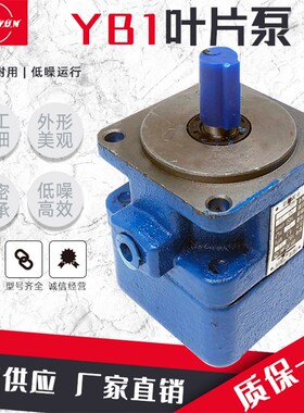 液压YB1叶片泵油泵YB1-6 YB1-10/16/4/20/25/40/50/80/100单双联