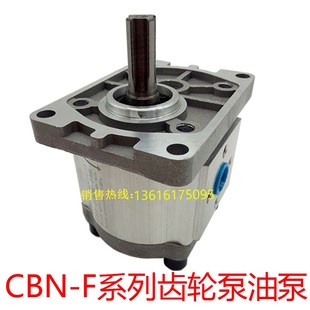 F304 F306 F320 齿轮泵CBN F325 F316 CBT F314 液压油泵 F310