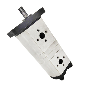 CBT 306 G314 F310 310双联齿轮泵 304 液压齿轮油泵高压CBN