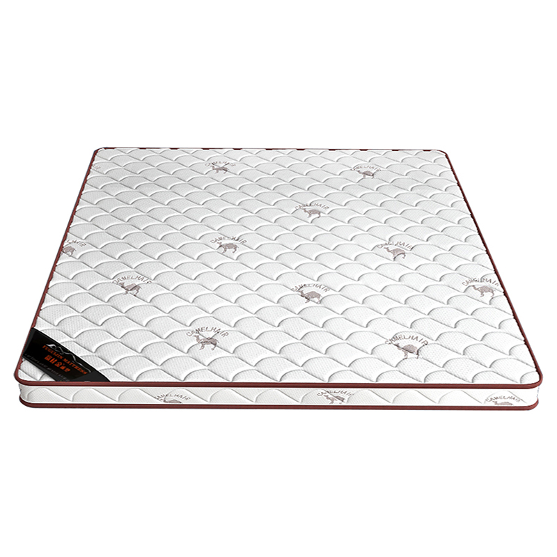 床垫3E椰棕垫租房家用折叠榻榻米棕榈硬垫经济型儿童加厚宿舍垫子