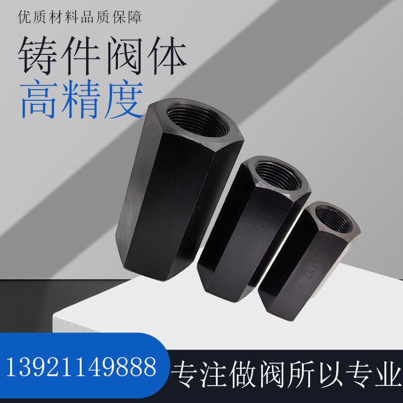 液压管式单向阀S10A1/2B S6 S8 S15A1/2 S20A1/1 S25A S30A5 S40A