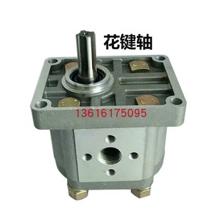 F306 F310 F325 齿轮泵CBN F312 F320 F304 F316 液压油泵 F314