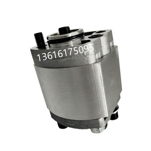 CBK 4.2 微型齿轮泵CBK 225 255 动力单元 233