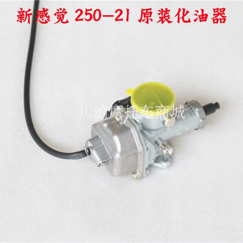 新感觉摩托车250-21A250-28/R9原装化油器加速化油器