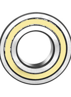 进口GAL NUP316 317 318 319EW ET EM 圆柱滚子轴承精密耐高温