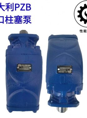 意大利PZB柱塞泵随车吊环卫钩臂车Y60/64R/84R/108R 317006422W0