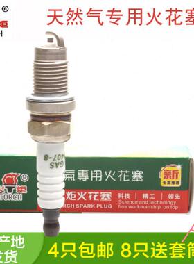 火炬5407-8 适用现代VVT伊兰特起亚CNG烧气TORCH湘火炬燃气火花塞
