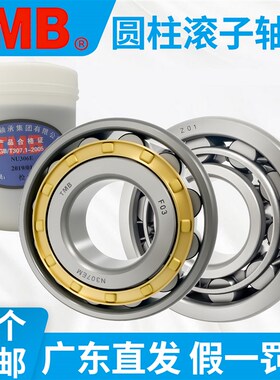 天马TMB圆柱滚子轴承RN307 308 309 310 311 312 313 315/E/EM