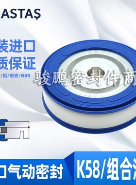 土耳其KASTAS进口气缸磁性活塞K58密封圈32/40/50/60/63/80/100