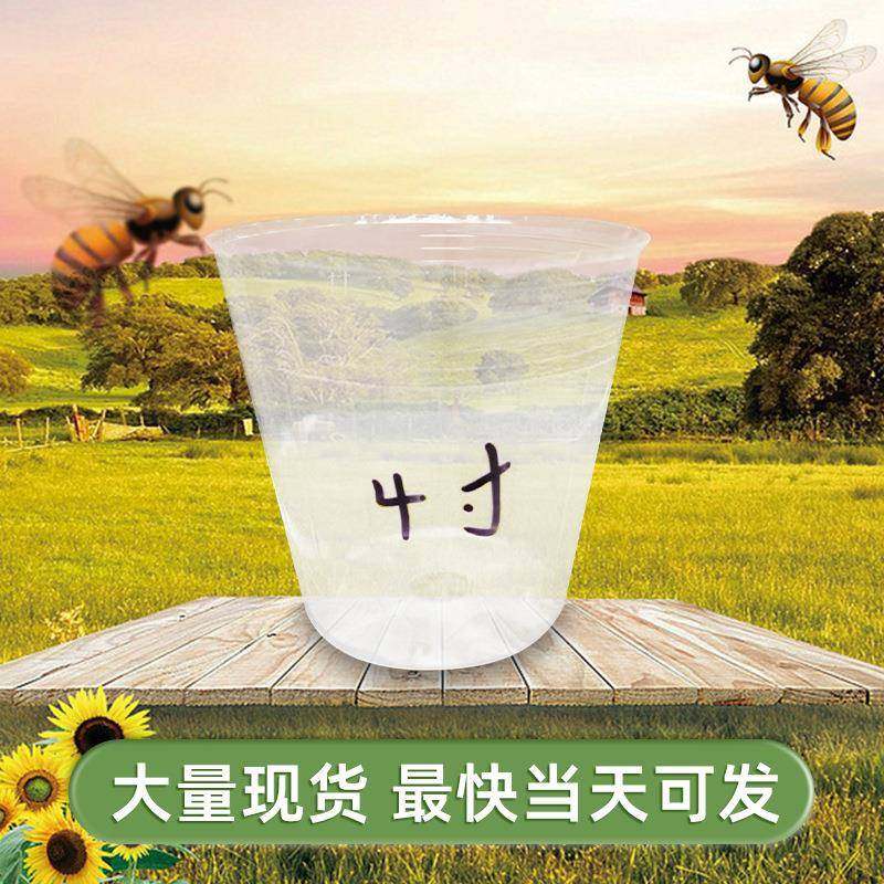 植透打明育苗杯塑料兰花花盆多20230620肉家庭营养白色透气孔种美,家居饰品,花盆,淘宝优惠券,粉丝福利购,淘宝优惠卷