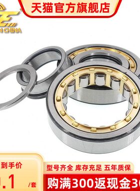 二类圆柱滚子电机轴承NU NJ NUP309 310 311 312 313E EM