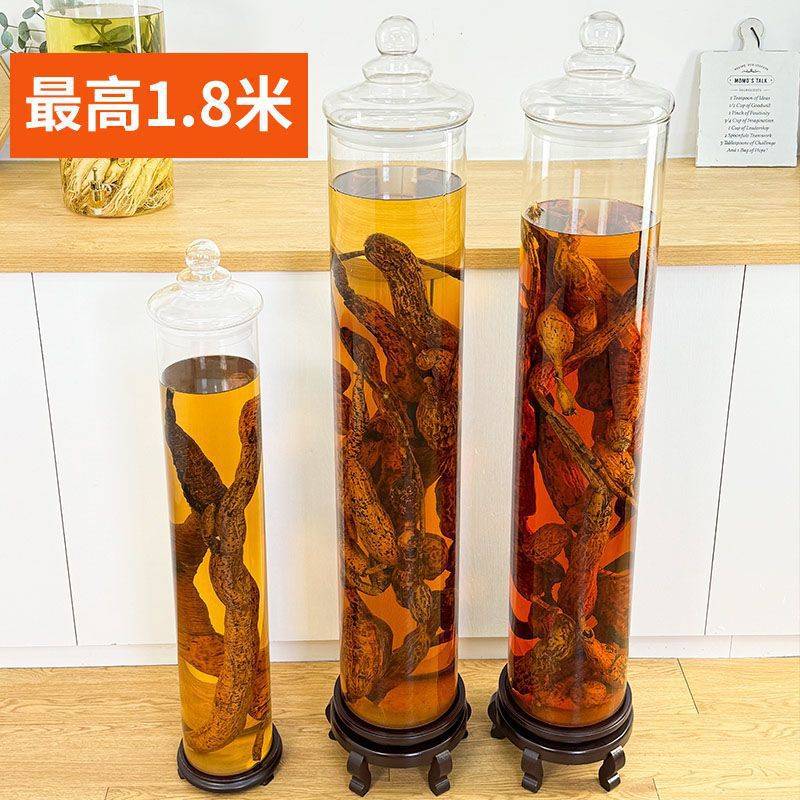 高硼硅泡酒玻璃瓶高档密封存酒容器泡酒专用酒瓶带龙头酿酒罐酒坛