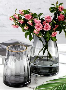 北欧轻奢描金简约灰色网红花瓶摆件餐桌客厅透明鲜花水培玻璃装饰