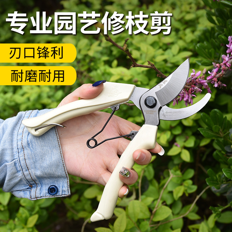 东风熊岳202修枝剪辽宁熊岳剪刀园林修枝粗枝花枝V手剪盆景剪刀花