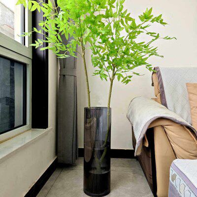 转运竹老式办公室花瓶大号玻璃轻奢高级感富贵竹专用高款落地摆件