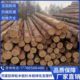 带皮杉木桩松木桩河道工程打桩木护栏桩菜园围栏桩绿化树木支撑杆
