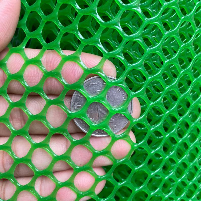 绿色塑料平网格小鸡鸭鹅苗垫网漏粪防护养鸡围栏家禽养殖胶网网片