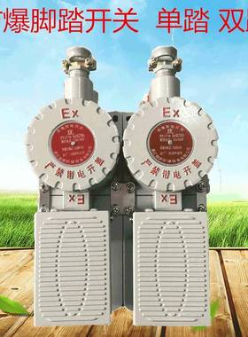 新型防爆脚踏开关行程单踏双踏LJT-10ADLX电机床冲床踏板开关