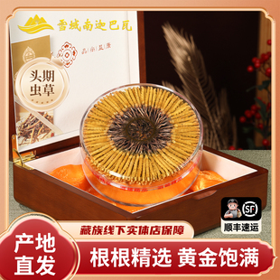 玉树野生虫草5A级精选品质 假一赔十 只售野生