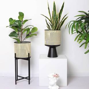 现代简约铁艺客厅绿萝落地镂空铁网电视旁植物花盆架flowerpot