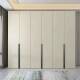 轻奢现代简约组装 衣柜卧室衣帽间通鼎平开推拉门衣橱家用储物柜