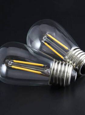 LED户外灯串 48FT 2W 迪生复古塑料灯泡商业级防风雨灯串装饰LED