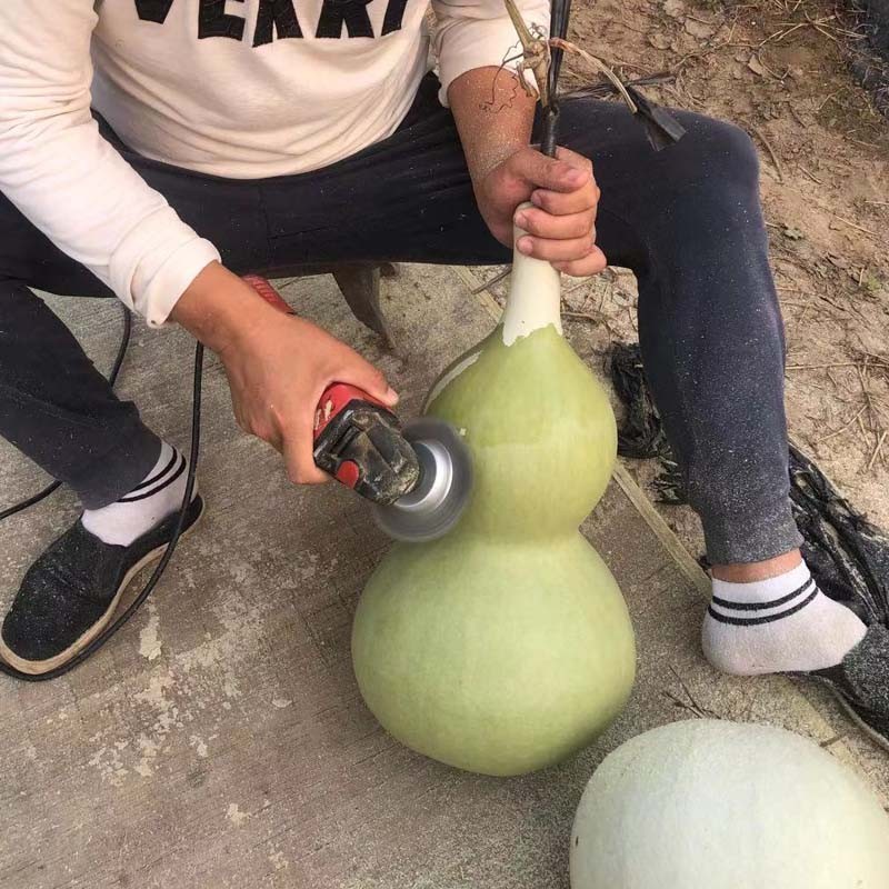 葫芦去皮钢丝刷碗形不锈u钢丝碗型除锈刷大葫芦打皮去皮钢丝轮