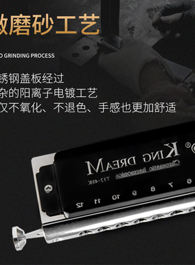 EASTTOP东方鼎T12-48K金色梦想者12孔半音阶练习专W业演奏口琴初