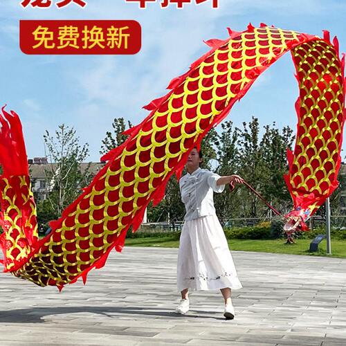 烫金健身龙带钢架龙头广场舞健身龙甩彩带手舞龙带中老年甩龙彩带