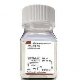 100X Antimycotic Antibiotic Gibco 062 100ml 15240 实验试剂