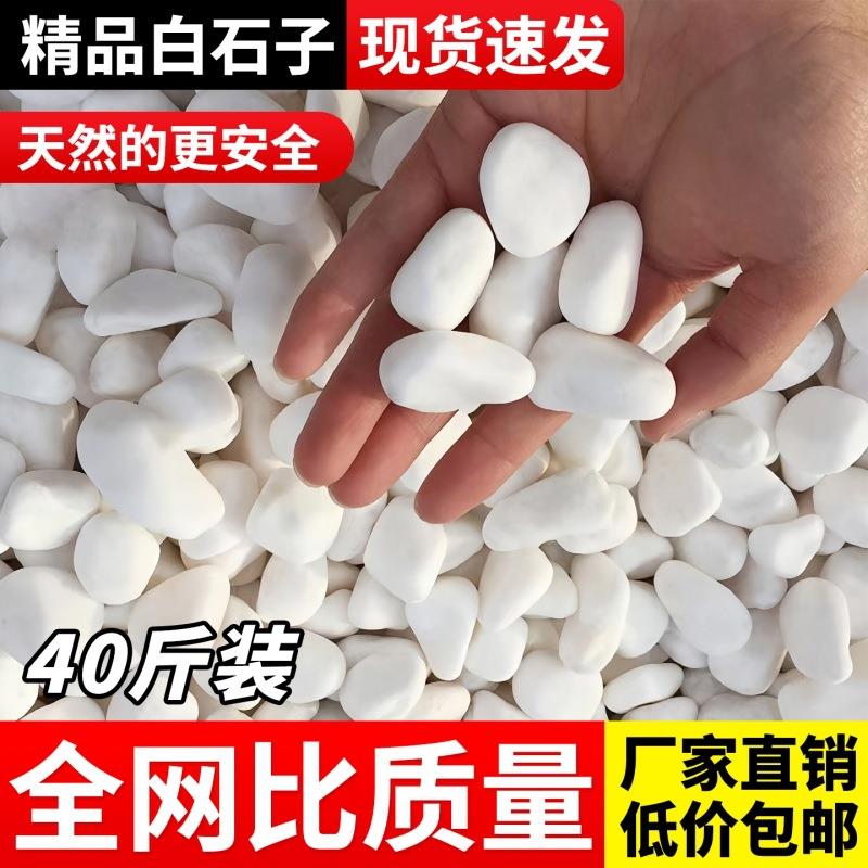 白石子庭院景观铺路鹅卵石鱼缸多肉盆栽铺面园林装饰白色大小石头